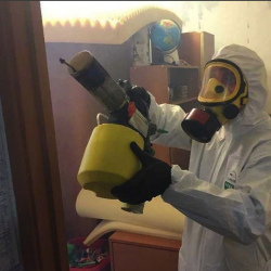 Уничтожение клопов в квартире. Иваново